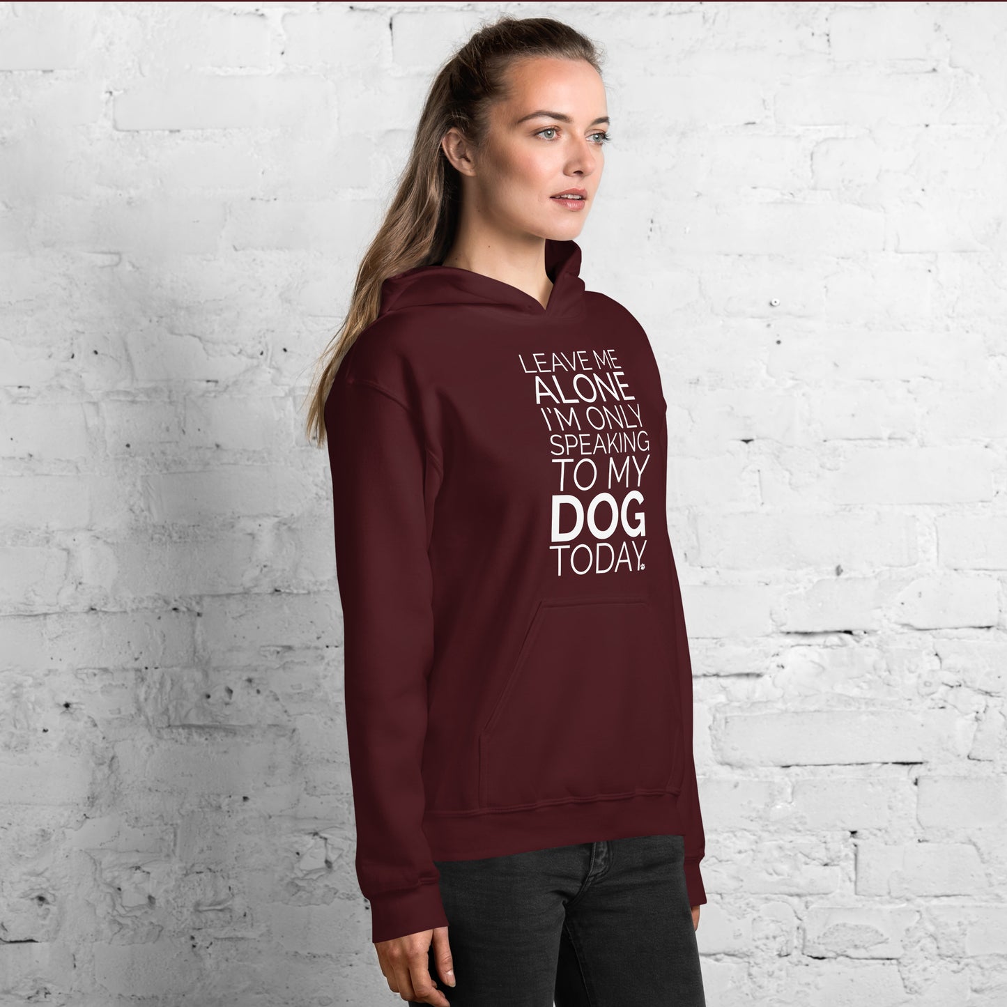 Leave Me Alone Dog Hoodie